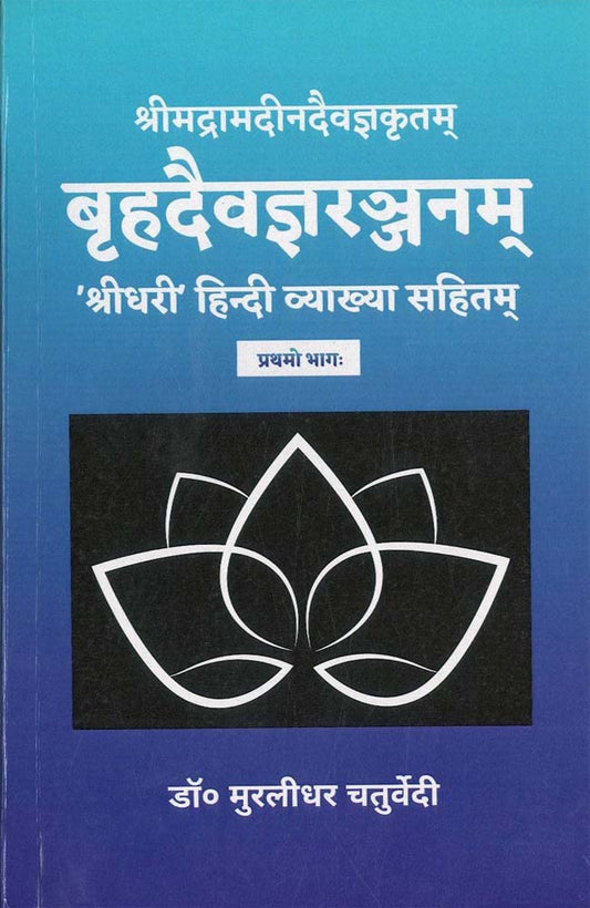 Brihaddaivagnaranjanam ( Vol. 1) book cover