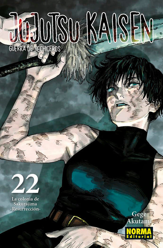 JUJUTSU KAISEN 22 