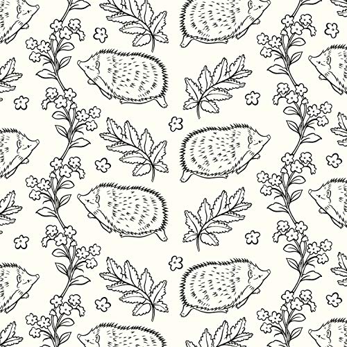 The Beatrix Potter Colouring Book