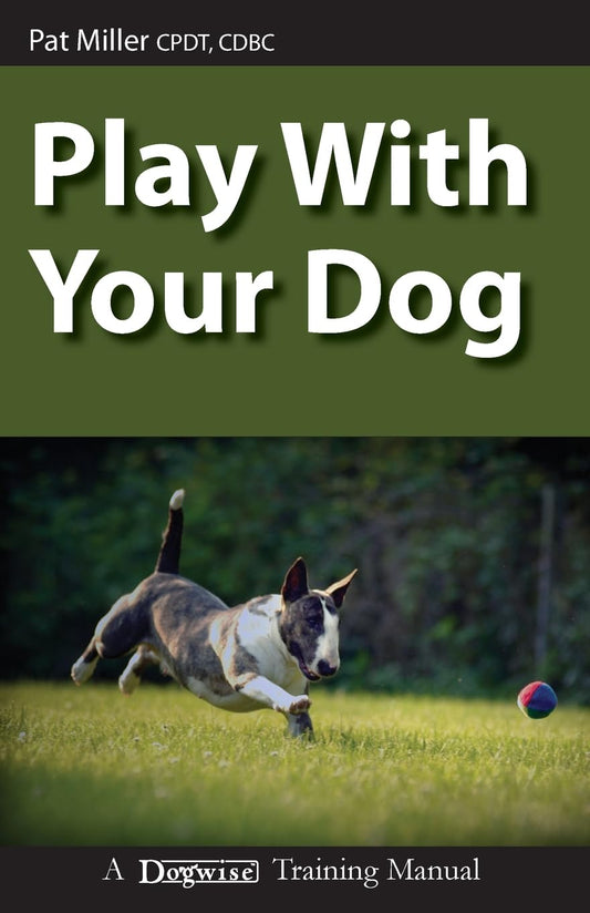 Play With Your Dog