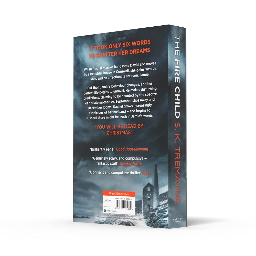 The Fire Child: The gripping psychological thriller from the bestselling author of The Ice Twins