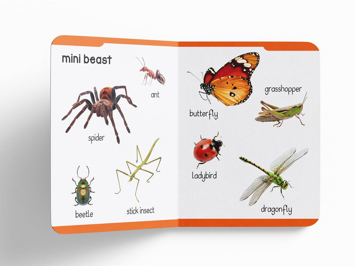 Early Learning Padded Board Book Of Animals For Kids | Ages 0–5 Years | Wild Animals | Farm Animals | Pets | Birds | Vocabulary Building | Bright Pictures | Toddlers | Preschoolers | Latest Edition