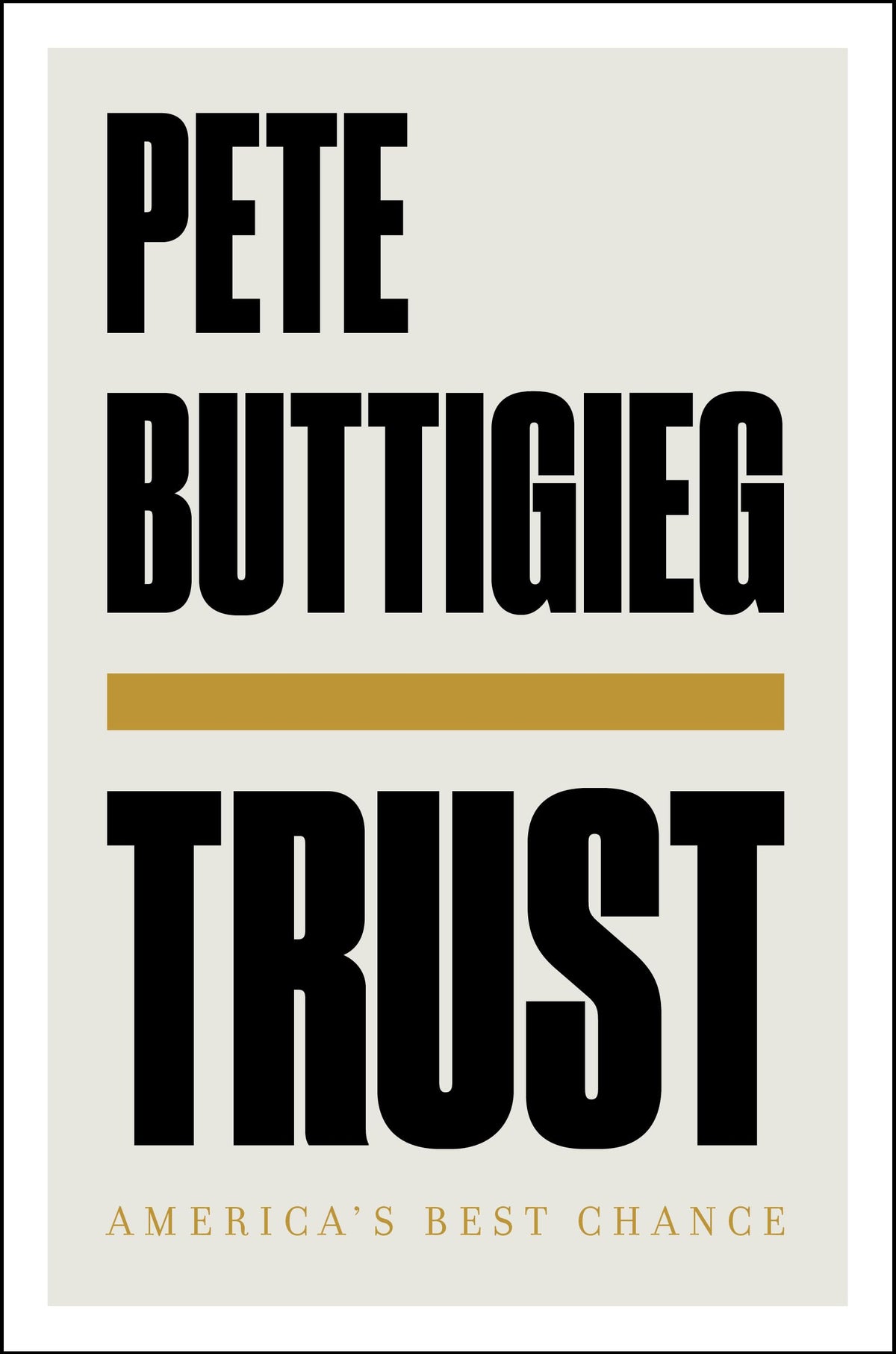 Trust book cover