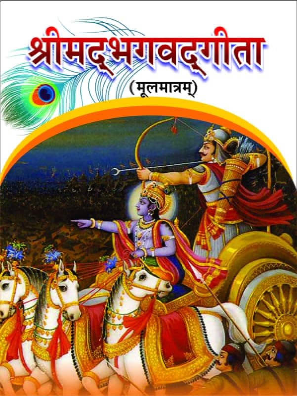 GITA POCKET  - MULAMANTRAM   [HINDI] book cover