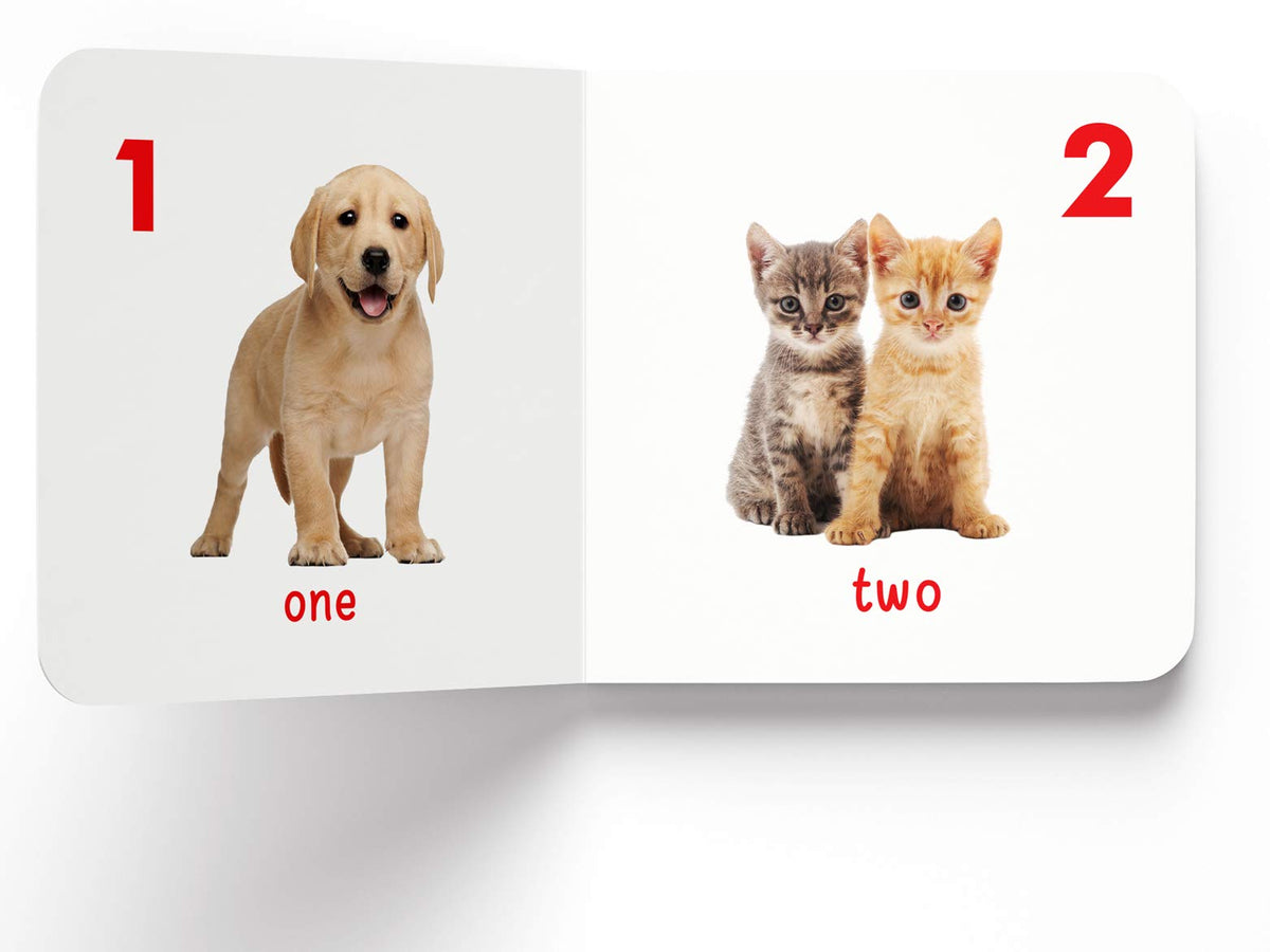 My First Book Of Numbers | First Number Board Book For Babies, Toddlers & Preschoolers | Early Counting Book With Bright Pictures | Learn Numbers 1-10 | For Kids Ages 0-3 Years
