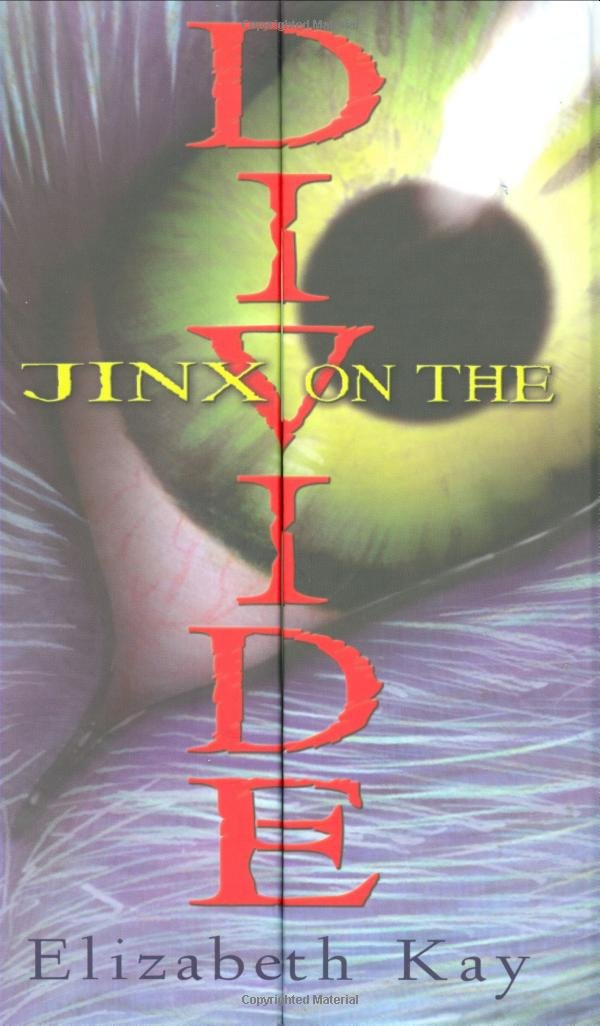 Jinx On The Divide book cover