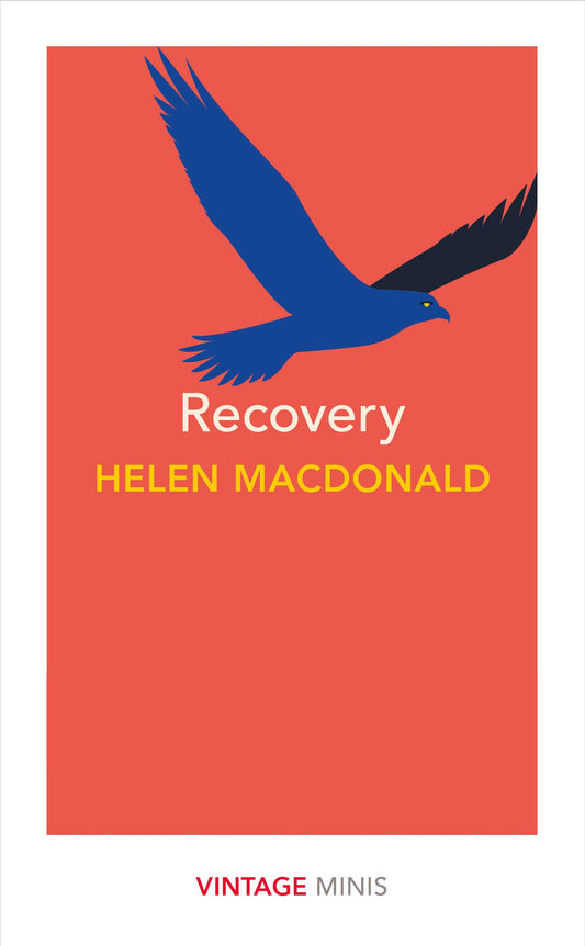 Recovery (Vintage Mini) book cover