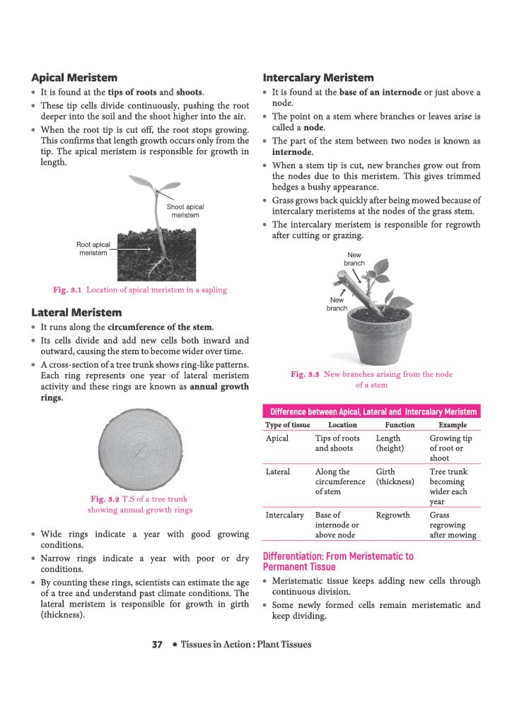 Arihant All in One Science (Exploration) Class 9 for CBSE Exam 2026-27 | NCERT Based Complete Theory, Practice Exercises, CBQs, A-R, Sample Papers & Mind Maps | Revised Edition as per Latest Syllabus