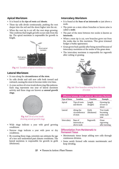 Arihant All in One Science (Exploration) Class 9 for CBSE Exam 2026-27 | NCERT Based Complete Theory, Practice Exercises, CBQs, A-R, Sample Papers & Mind Maps | Revised Edition as per Latest Syllabus