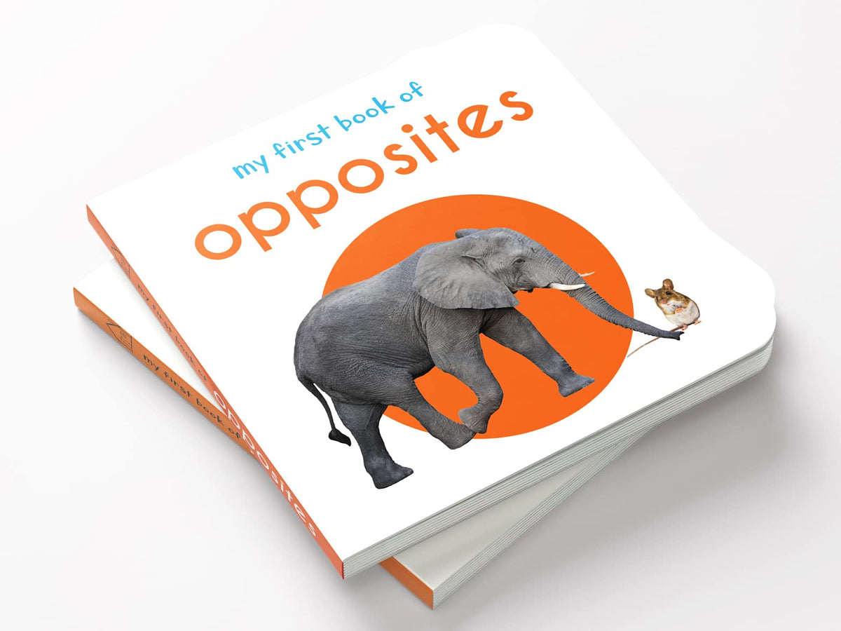 My First Book of Opposites | First Concept Board Book for Babies, Toddlers & Preschoolers | Learn Big–Small, Hot–Cold & More with Bright Pictures | Early Learning Book for Kids Ages 0-3 Years