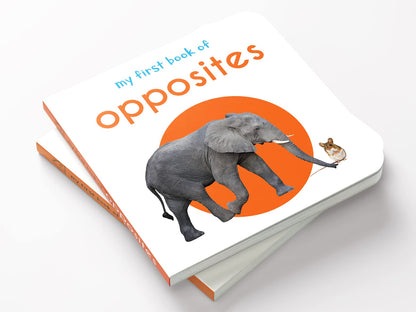 My First Book of Opposites | First Concept Board Book for Babies, Toddlers & Preschoolers | Learn Big–Small, Hot–Cold & More with Bright Pictures | Early Learning Book for Kids Ages 0-3 Years