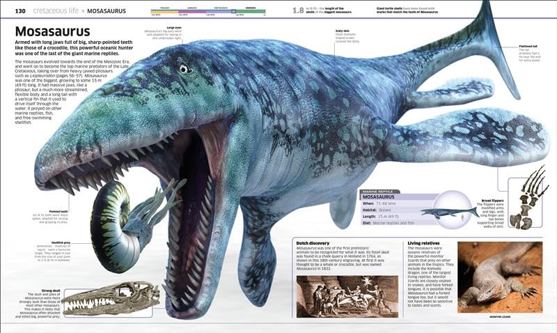 Knowledge Encyclopedia Dinosaur! An Illustrated Encyclopedia for Kids on Dinosaurs Extinction, Fossils, Prehistoric Life & Evolution