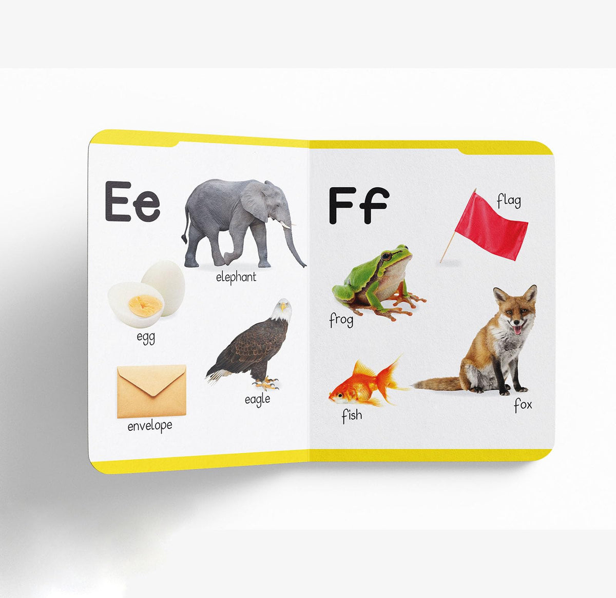 Early Learning Padded Book of Alphabet: Board Book for Kids | Learn ABC with Bright and Colorful Pictures | Durable Padded Board Book for Babies, Toddlers & Preschoolers | Ages 0–5 Years