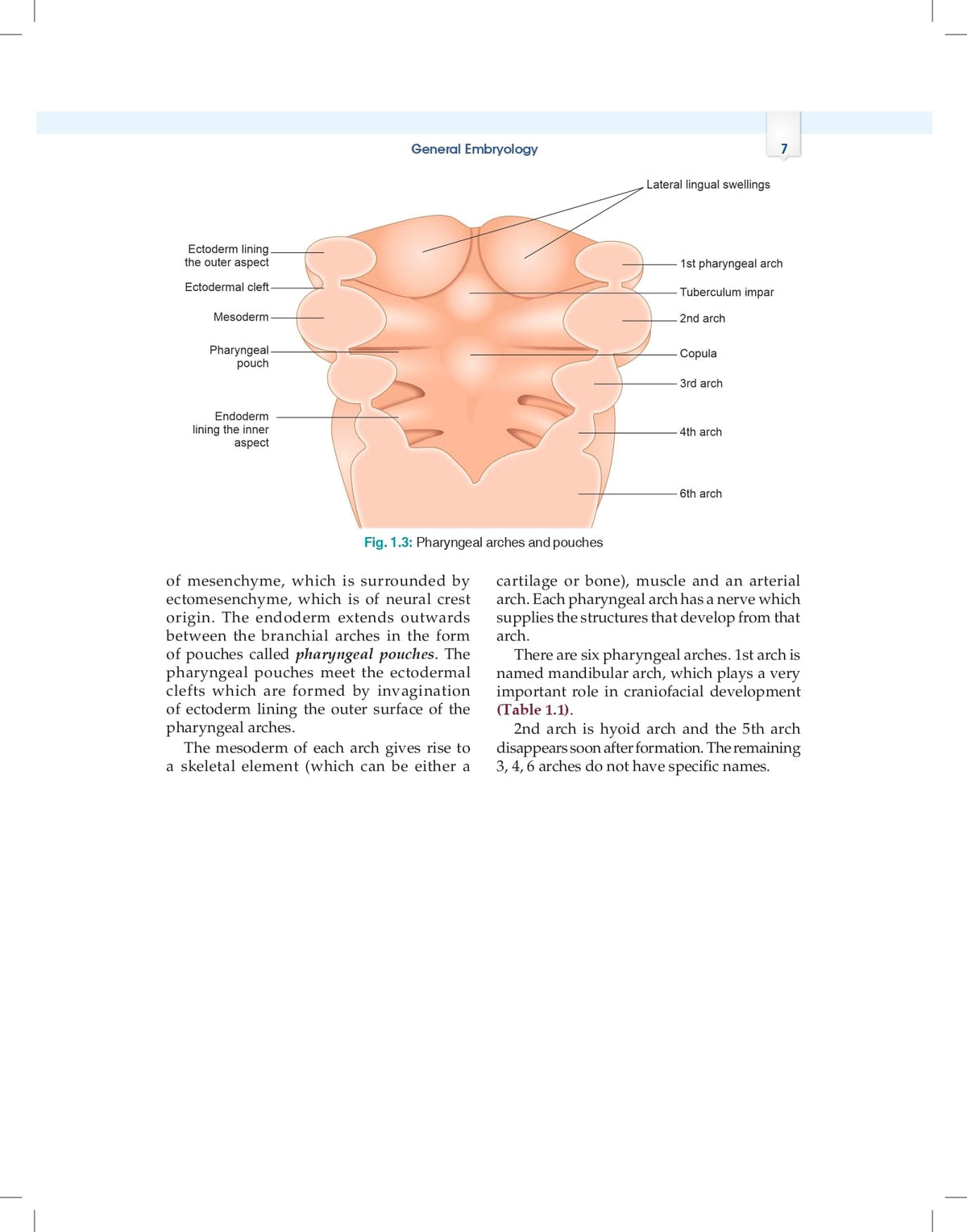 Essentials of Oral Biology 3ed. (PB 2026)