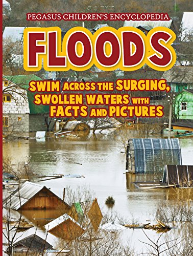 Floods book cover