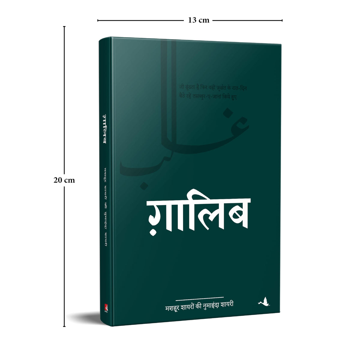 Ghalib (Hindi)