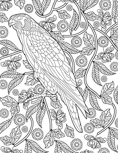 Nature Adult Colouring Book for Peaceful Creativity and Stress Relief | Beautiful Designs Inspired by Flowers, Birds, Butterflies & More for Relaxation and Mindful Expression
