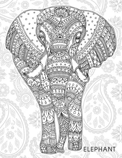 Animals & Birds Creative Doodle Colouring Book for Beginners and Adults | Intricate Wildlife Patterns for Relaxation and Creativity | Printed on High-Quality Paper for Pencil, Gel Pen & Marker Use