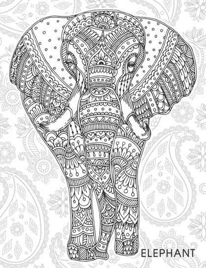 Animals & Birds Creative Doodle Colouring Book for Beginners and Adults | Intricate Wildlife Patterns for Relaxation and Creativity | Printed on High-Quality Paper for Pencil, Gel Pen & Marker Use