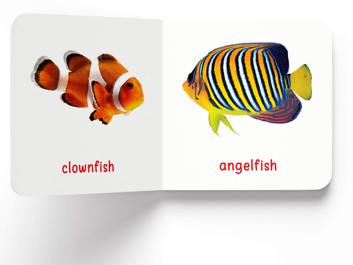 My First Book Of Sea Animals | Ages 0–3 Years | Ocean Animals | Board Book For Kids | Fish | Dolphins | Whales | Bright Pictures | Vocabulary Building | Toddlers & Preschoolers | Latest Edition