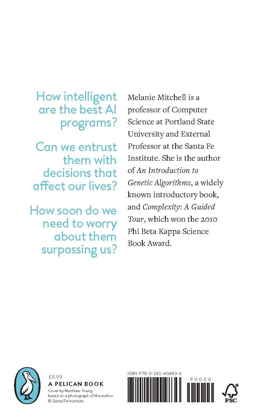 Artificial Intelligence: A Guide for Thinking Humans