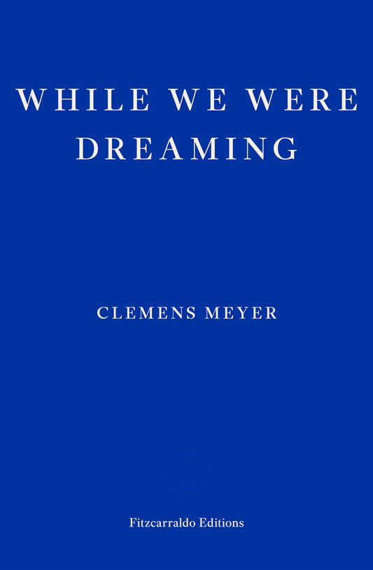 While We Were Dreaming book cover