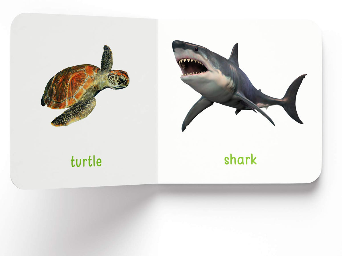 My First Book Of Sea Animals | Ages 0–3 Years | Ocean Animals | Board Book For Kids | Fish | Dolphins | Whales | Bright Pictures | Vocabulary Building | Toddlers & Preschoolers | Latest Edition