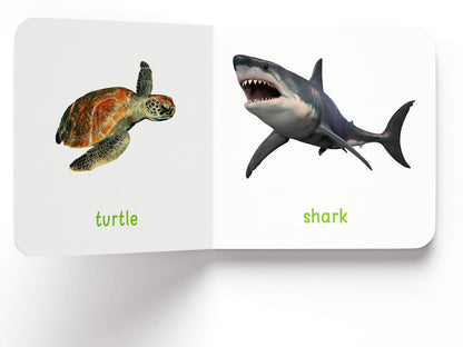 My First Book Of Sea Animals | Ages 0–3 Years | Ocean Animals | Board Book For Kids | Fish | Dolphins | Whales | Bright Pictures | Vocabulary Building | Toddlers & Preschoolers | Latest Edition