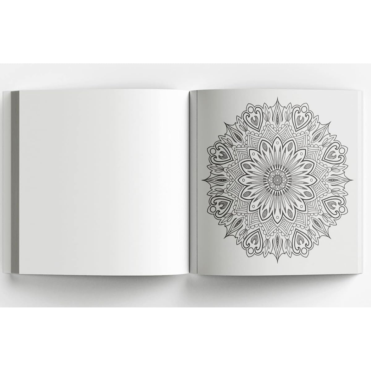 Adult Colouring Books Mandala Art for Adults - Spanish