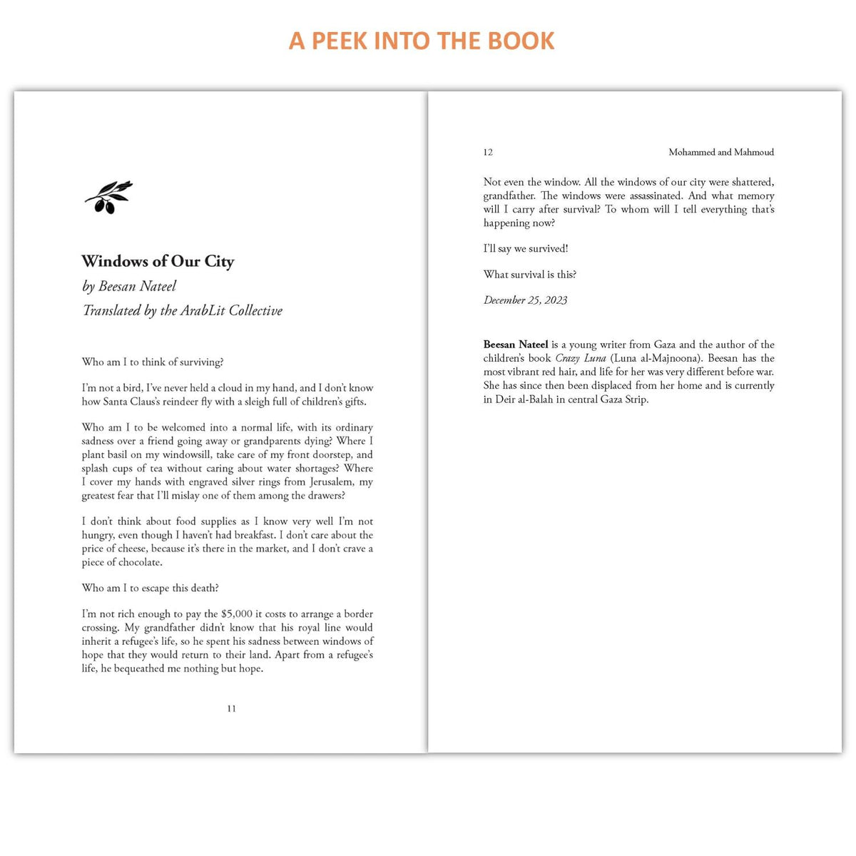 Letters from Gaza: Post October 2023, the first collection of in-the-moment reflections from the people of Gaza; written from the vortex of turmoil: By the People, From the Year That Has Been