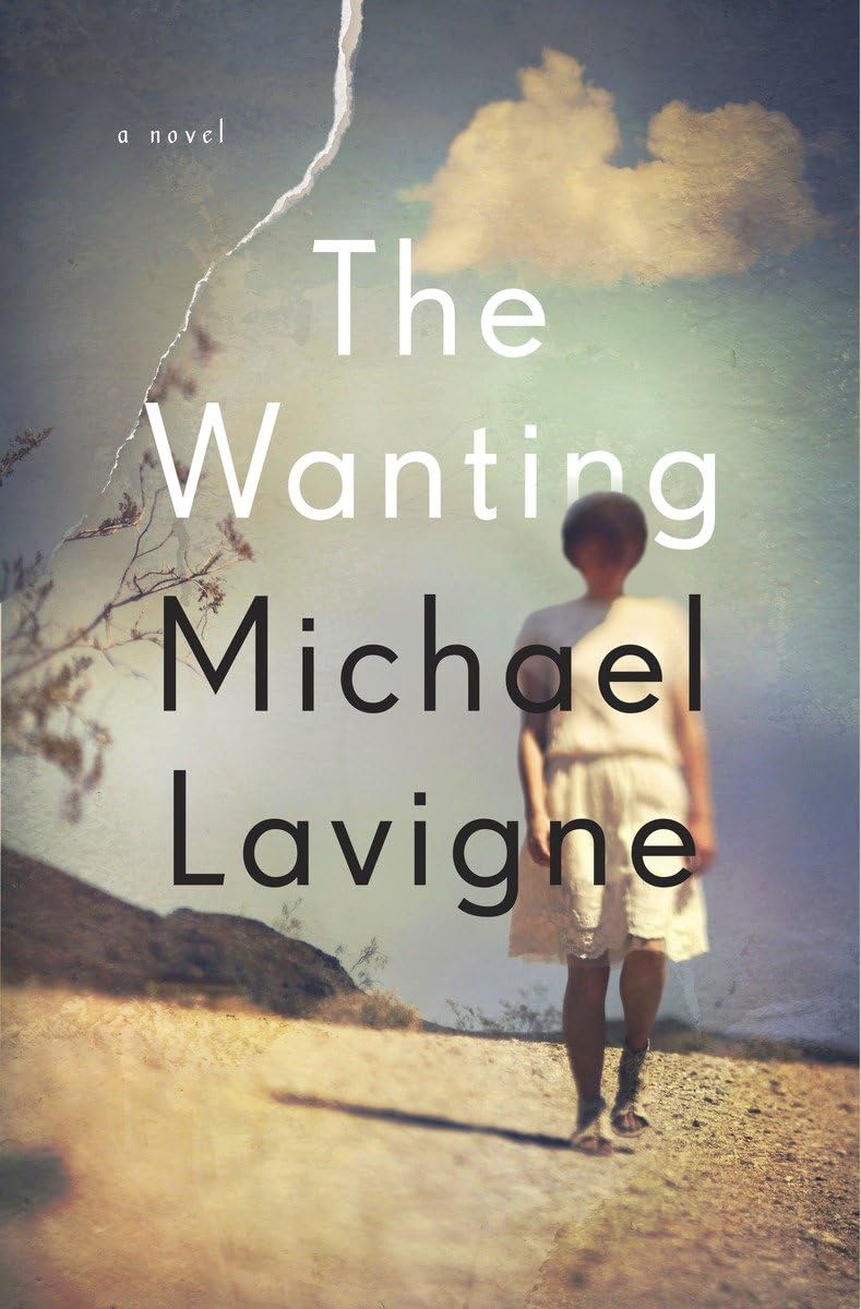 The Wanting: A Novel book cover