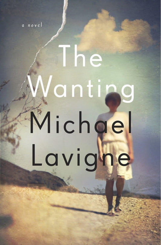 The Wanting: A Novel book cover