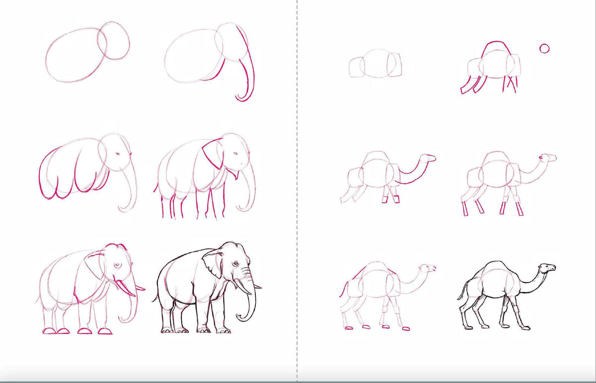 Draw 50 Animals: The Step-by-Step Way to Draw Elephants, Tigers, Dogs, Fish, Birds, and Many More...