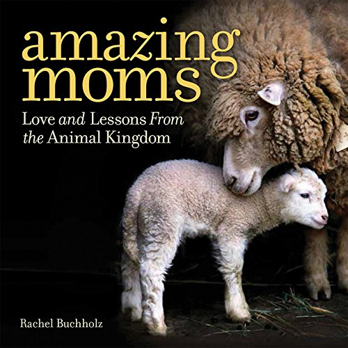 Amazing Moms: Love and Lessons From the Animal Kingdom book cover