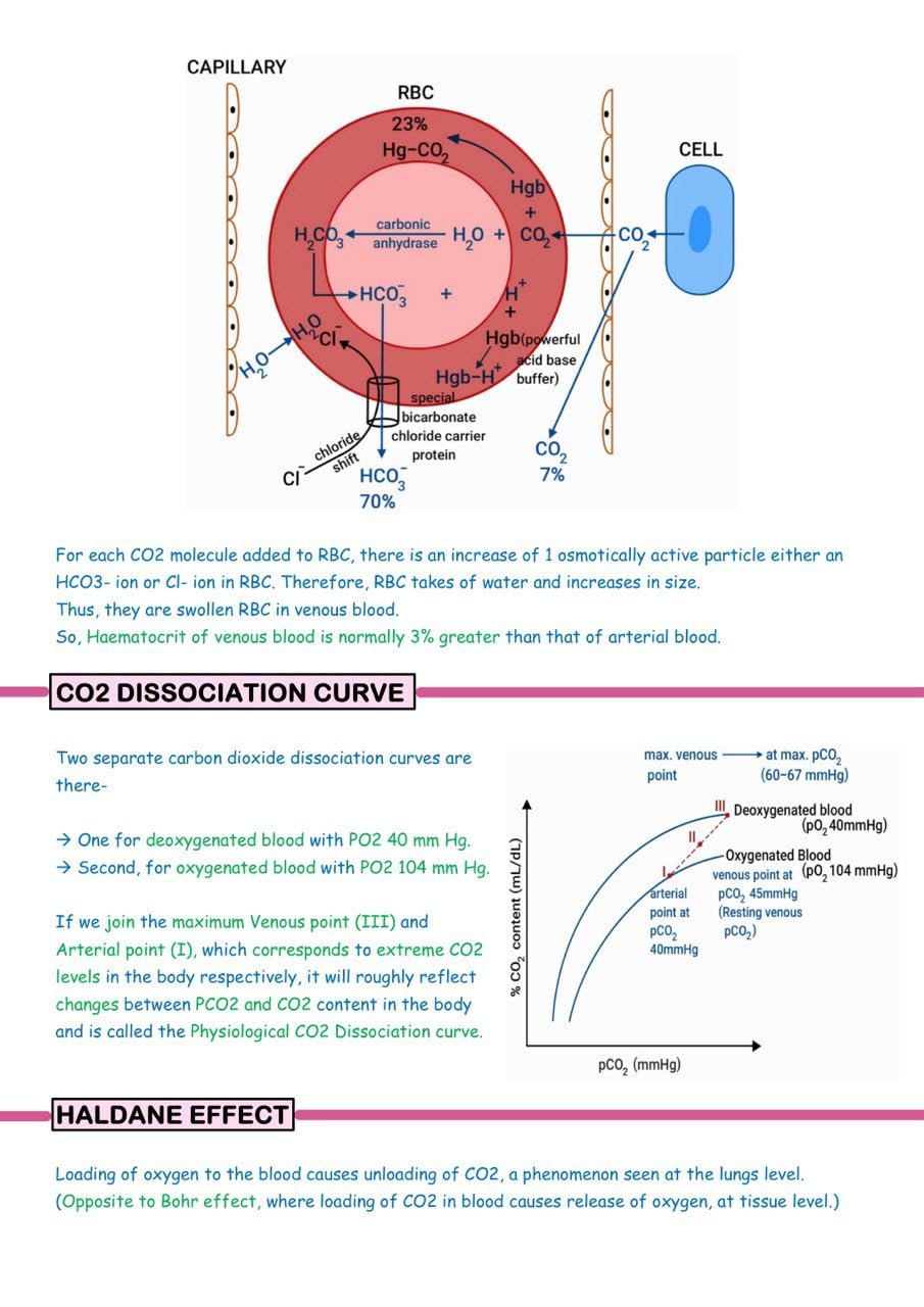 Physiology Notes by Ashish (Set of Vol. 1 & Vol. 2)