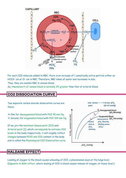 Physiology Notes by Ashish (Set of Vol. 1 & Vol. 2)