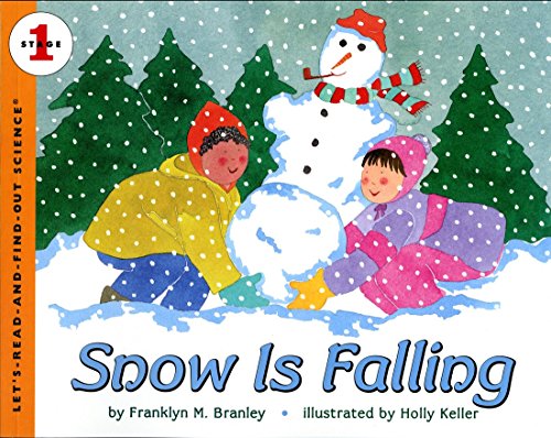 SNOW IS FALLING book cover