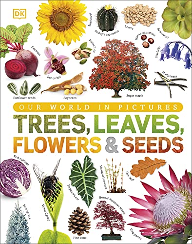 Trees, Leaves, Flowers & Seeds book cover