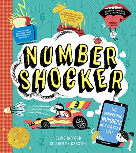 NUMBER SHOCKER book cover