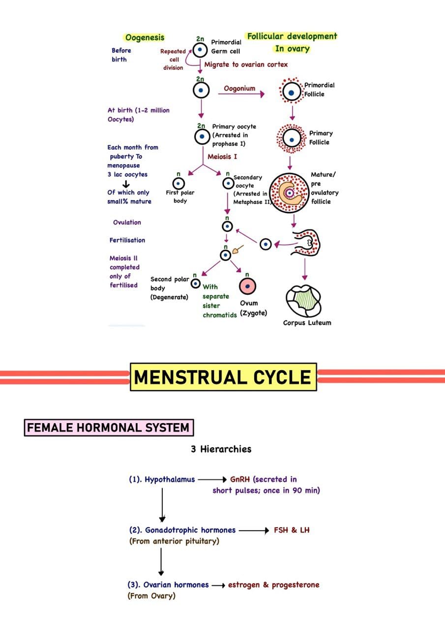 Physiology Notes by Ashish (Set of Vol. 1 & Vol. 2)
