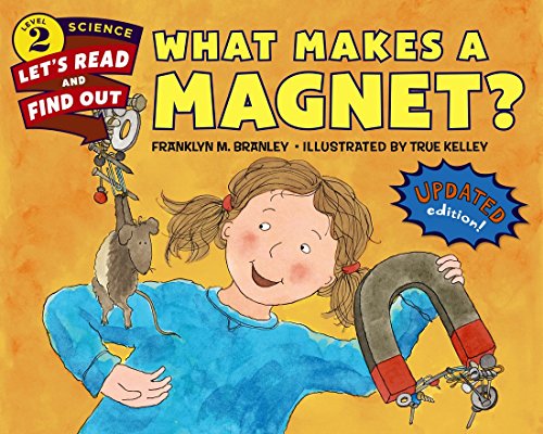 What Makes a Magnet? book cover
