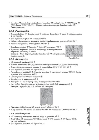 Arihant NCERT Biology Simplified Class 11 | NCERT Reference Book Synced with Rationalised NCERT | NEET Competition Focus, Free Chapterwise Online Tests | For Exam 2026-2027