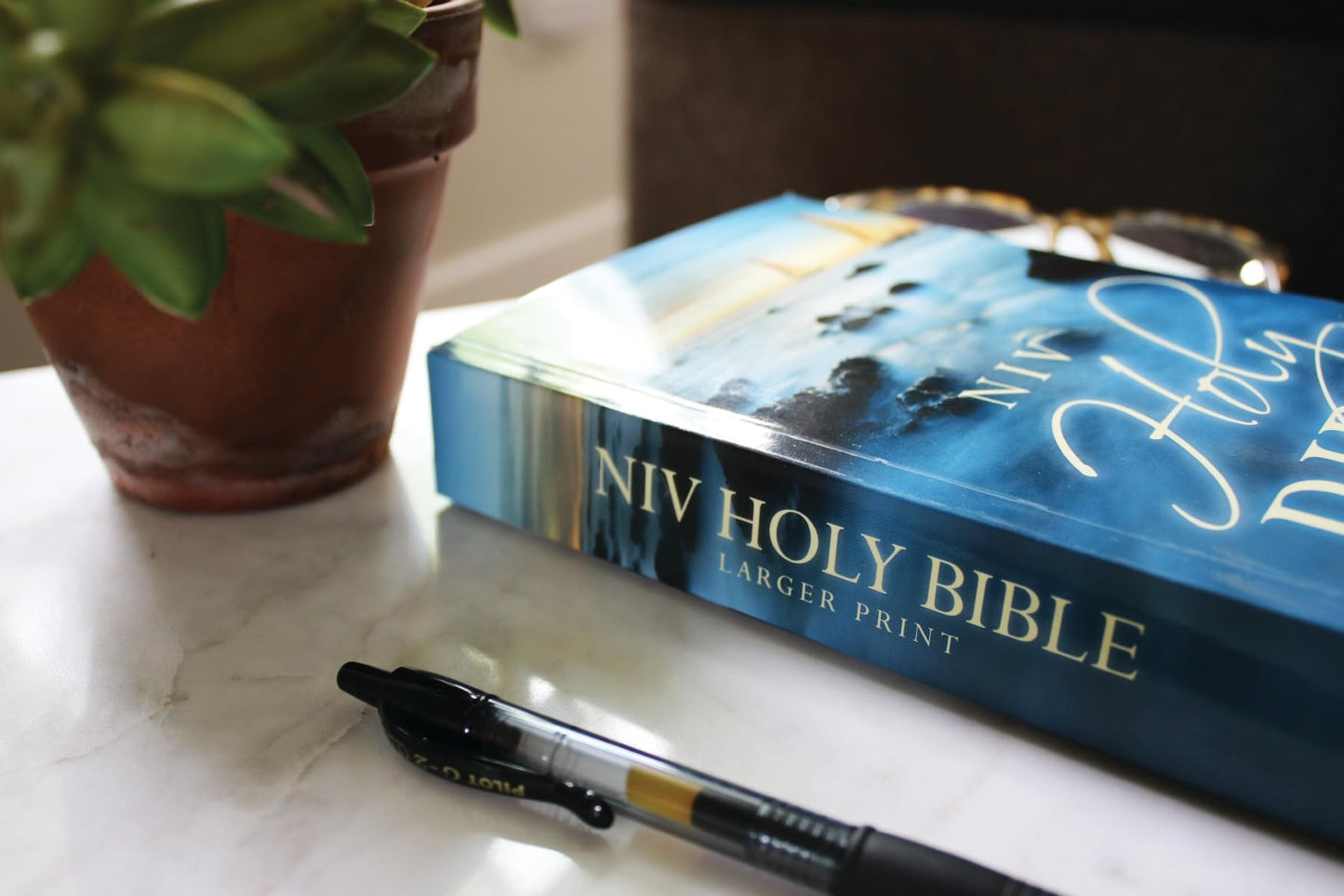 Holy Bible: New International Version