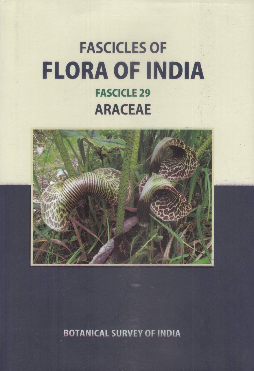 Fascicles of Flora of Inida Vol-29: Araceae book cover