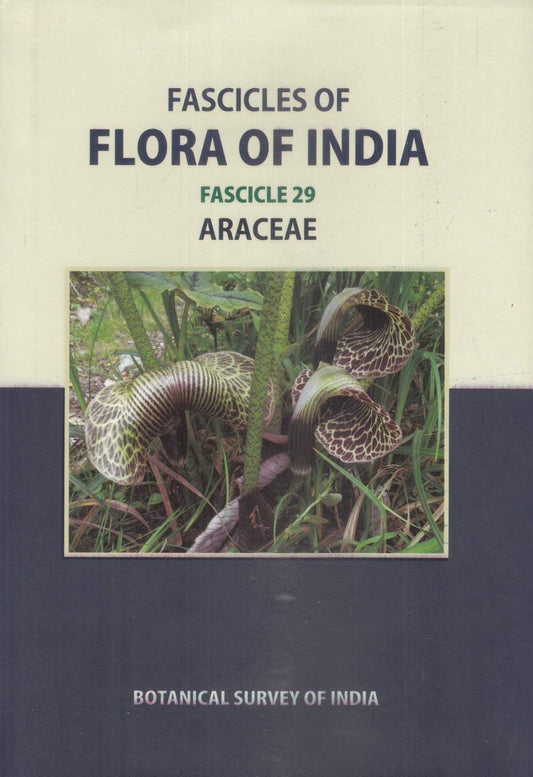 Fascicles of Flora of Inida Vol-29: Araceae book cover
