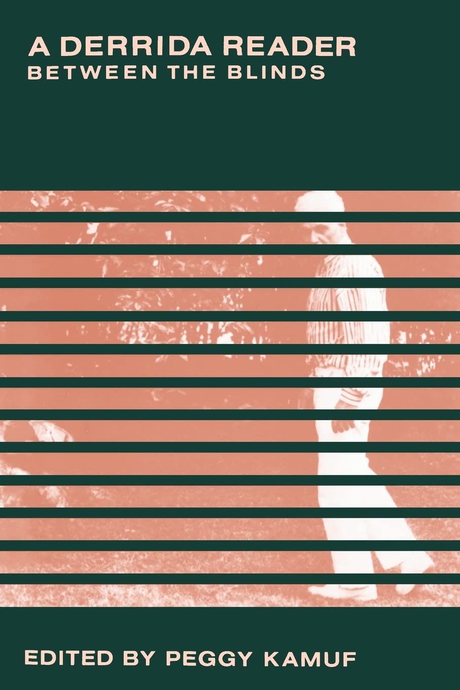 Derrida Reader (Paper) book cover