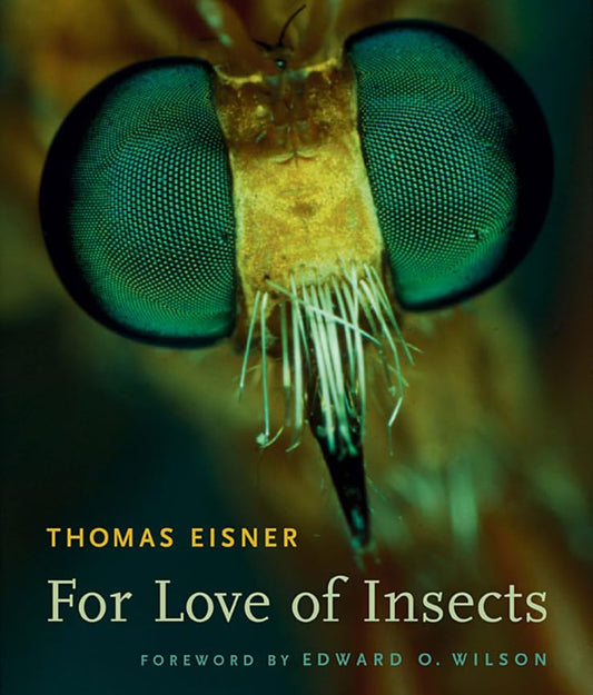 For Love Of Insects book cover