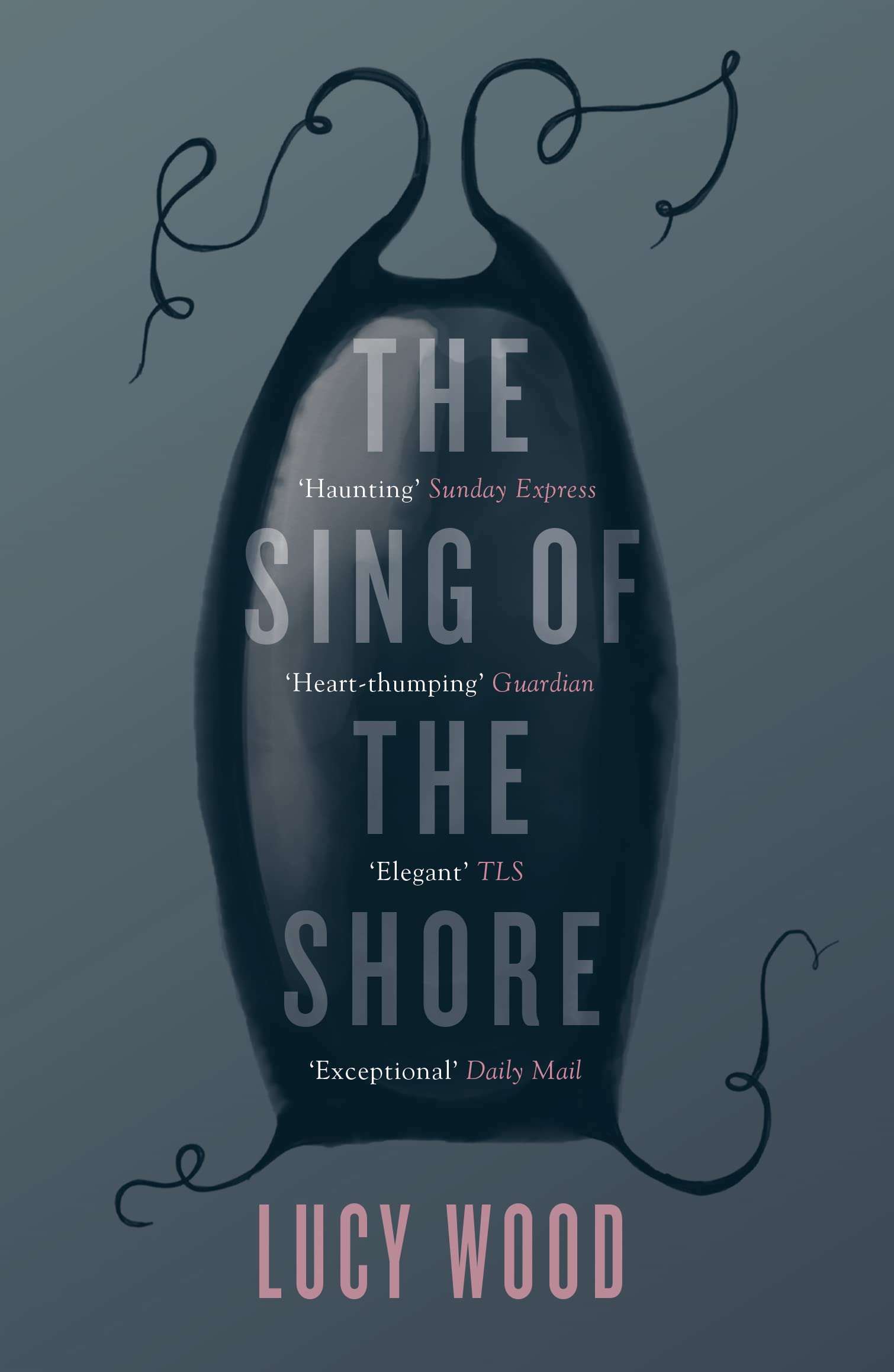 THE SING OF THE SHORE book cover