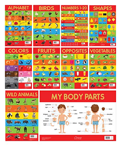 Early Learning Educational 10 Charts Boxset For Kids : Perfect For Homeschooling, Kindergarten and N book cover