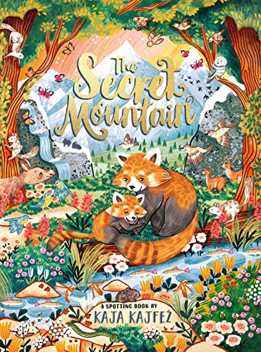 THE SECRET MOUNTAIN book cover